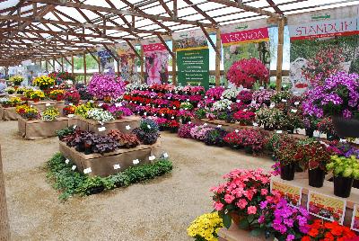 Kientzler, Spring Trials 2015.: Welcome to Kientzler North America, Spring Trials 2015 at Windmill Nursery.