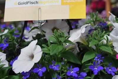 Kwik Kombos™ COMBO 'Rock 'n' Roll™ Mix'