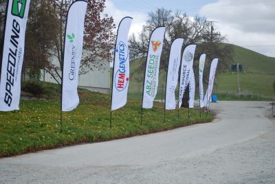 On Display @ Speedling: Banners of the Speedling participants.