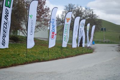 On Display @ Speedling: Banners of the Speedling participants.