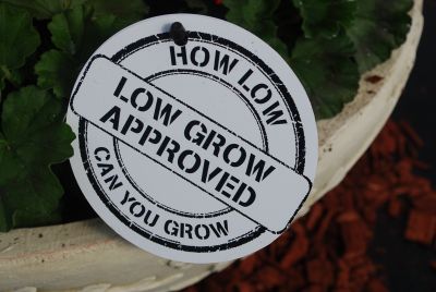 How Low Can You Grow?: Low growth flowers with no PGRs saves time and money.
