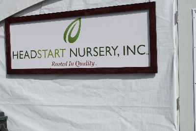 At Headstart Nursery Spring Trials 2015.: Welcome to  Headstart Nursery Spring Trials 2015, featuring Danziger “Dan” Flower Farm.  Rooted in Quality.