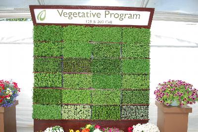 At Headstart Nursery Spring Trials 2015.: At Headstart Nursery Spring Trials 2015: Vegetative Program.