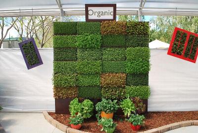 From Headstart Nursery, Spring Trials 2014: As seen @ Headstart Nurseries, organic programs.