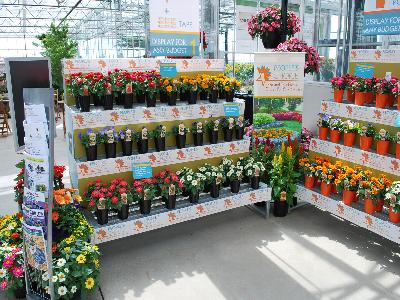 MasterTag Spring Trials 2013: Various plant tags, pots and banners showcase plants on display @ MasterTag Spring Trials 2013.