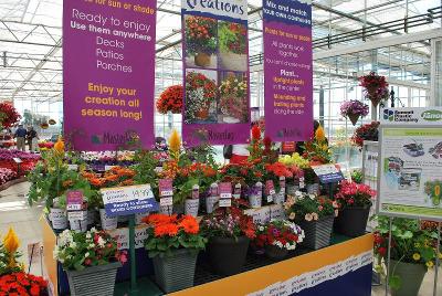 From MasterTag, Spring Trials 2014: As seen @ MasterTag, Spring Trials 2014.  Container Creations.  Mix and Match your own Container.
