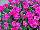 Mixmasters™ COMBO I Heart Pink 