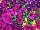 Mixmasters™ COMBO Bejeweled 