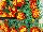 Hot Pak™ Marigold French Dwarf (Tagetes patula) Harmony 