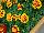 Hot Pak™ Marigold French Dwarf (Tagetes patula) Fire 