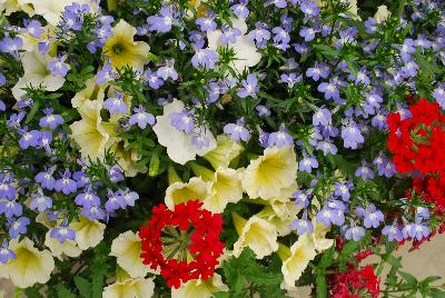 Mixmasters COMBO Pop Culture 