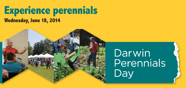 Darwin Perennials Day 2014