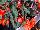 GreenFuse Botanicals: Begonia  'Orange' 