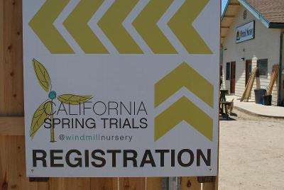 From Windmill Nursery, Spring Trials 2014: Welcome to California Spring Trials, 2014 @ Windmill Nursery.  Featuring Beekenkamp, Elsner PAC, McConkey, Pelemix, Plug Connection, Skagit Gardens, Terra Nova Nurseries and Westflowers.