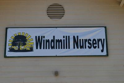 From Windmill Nursery, Spring Trials 2014: Welcome to Windmill Nursery, Spring Trials 2014.  Featuring Beekenkamp, Elsner PAC, McConkey, Pelemix, Plug Connection, Skagit Gardens, Terra Nova Nurseries and Westflowers.