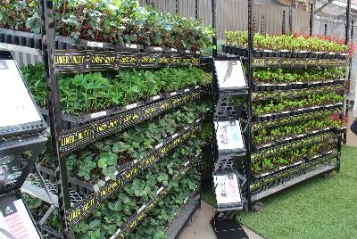 Seen @ Spring Trials 2016.: At Pacific Plug & Liner, Spring Trials 2016: A full display of various plant material and plugs available, along with the marketing and production support needed or success.