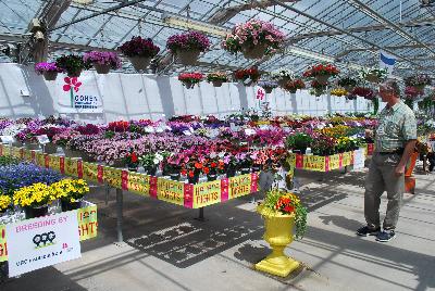 Seen @ Spring Trials 2016.: From Pacific Plug & Liner, Spring Trials 2016: Havana Nights and other themes promoting and highlighting all of the great plant material available from several different vendors.