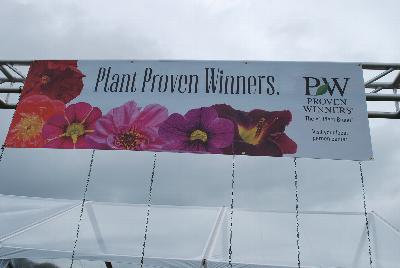 Seen @ Spring Trials 2016.: Welcome to Proven Winners® Spring Trials 2016 at it's new location of Kirigin Cellars Winery in Gilroy.  Plant Proven Winners®, the Number 1 Plant Brand.