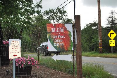 Seen @ Spring Trials 2016.: Welcome to Kirigin Cellars Winery, host to Proven Winners® Spring Trials 2016, in Gilroy, California.