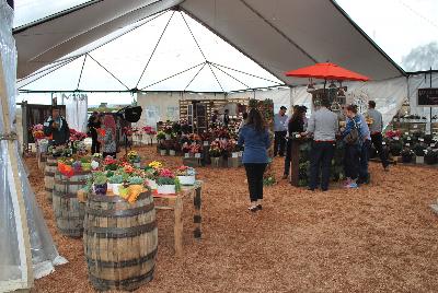 Seen @ Spring Trials 2016.: Visitors being welcomed and sicussions taking place at DÜMMEN ORANGE as seen @ Barrel House Brewery, Spring Trials 2016.