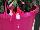 Beekenkamp: Fuchsia hybrid 'Nora' 