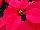 Beekenkamp: Poinsettia  'Solar Red' 