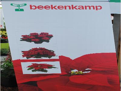 Welcome to Beekenkamp, 2013: Welcome to Beekenkamp's Spring Trials 2013 Presentation.