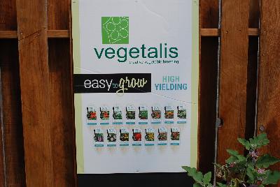 Vegetalis: From Floranova Spring Trials 2015: Vegetalis creative vegetable breeding, easy to grow, high yield.