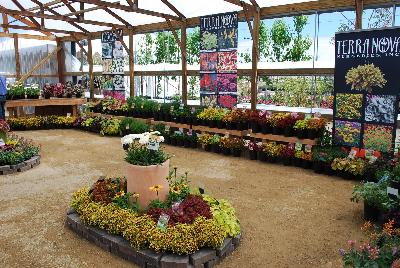 Terra Nova&reg; Nurseries, 2015: Welcome to Terra Nova&reg; Nurseries @ Spring Trials 2015.