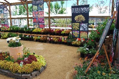 Terra Nova&reg; Nurseries, 2015: Welcome to Terra Nova&reg; Nurseries @ Spring Trials 2015.