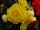 Ernst Benary of Amercia Inc. : Begonia  'Yellow' 