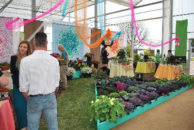 Seen @ Spring Trials 2016.: Welcome to HortCouture @ GroLink, Spring Trials 2016, where stylish and trendy plants are in fashion and on the runway.