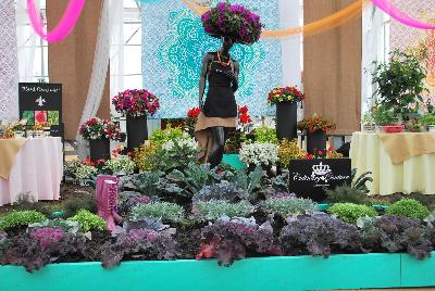  Culinary Cuisine™   : New from HortCouture @ GroLink, Spring Trials 2016, where stylish and trendy plants are in fashion and on the runway. Not just for ornamentals, HortCouture presents Culinary Couture featuring Zest™ and other vegetables.
