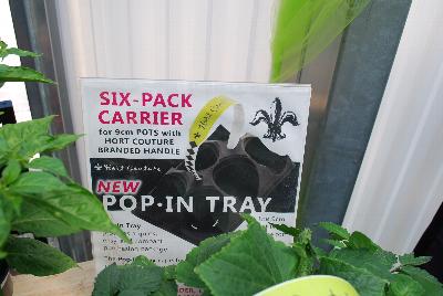 Six Pack Carriers: New from HortCouture @ GroLink Spring Trials 2015.  Six-pack Carrier for 9mm Pots with HortCouture branded handle.