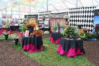 From HortCouture, 2015: Welcome to HortCouture @ GroLink Spring Trials 2015.