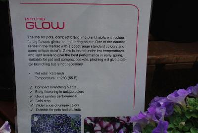 As Seen @ Florensis Spring Trials, 2014: ::From Florensis California Spring Trials 2014*Glow Petunia*The top for pots with compact branching habit and colorful big flowers*One of the earliest series on the market with a great range of colors*Tested under low temperatures and light to ensure performance in spring*Pinching gives better branching, but is not necessary*Pot size: 3.5 inch+; Temp: 12C/55F +