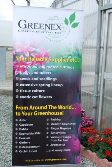 GREENEX Banner: GREENEX is your worldwide supplier of plants, from spring to fall.