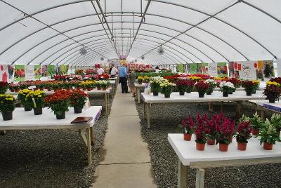 From GREENEX, Spring Trials 2014: Welcome to the GREENEX Presentation @ Spring Trials 2014.