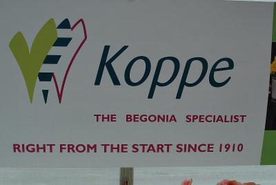 From GREENEX, Spring Trials 2014: As seen @ GREENEX, Spring Trials, 2014, Koppe, The Begonia Specialist.  Right.  From the Start.  Since 1910.