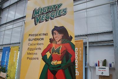Seen @ Spring Trials 2016.: From Plug Connection for Spring Trials 2016: Mighty Veggies® offering superior cucumbers, eggplant, melons and peppers.  Join the Revolution!