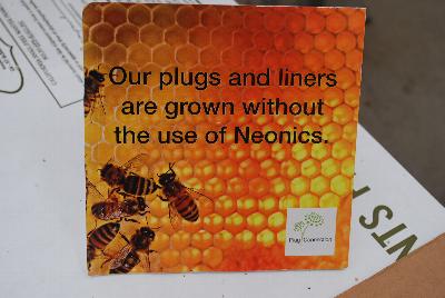Seen @ Spring Trials 2016.: From Plug Connection for Spring Trials 2016: Our plugs and liners are grown without the use of neonicotinoid insecticides.