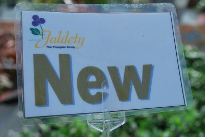 What's New from SpringTrials.org?  Keep Watching....