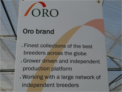 Fides ORO:  Offering Fine Plants from Worldwide Breeders