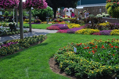 A Snapshot of the Display Garden at Pleasant View Gardens