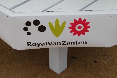 Royal Van Zanten Spring Trials 2015.: Welcome to Royal Van Zanten @ GroLink Spring Trials 2015.