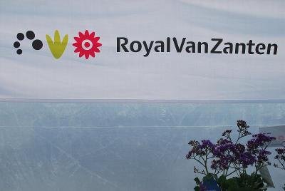 As seen @ Royal Van Zanten Spring Trials 2014: Logo from Royal Van Zanten Spring Trials, 2014 @ GroLink, Oxnard, CA.