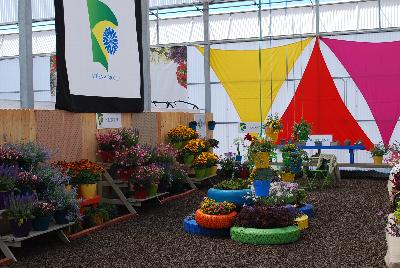 From Athena Brazil, Spring Trials, 2015.: Welcome to Athena Brazil @ GroLink Spring Trials 2015.