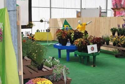 Athena Brazil, 2014: Welcome to Athena Brazil's California Spring Trials 2014 @ GroLink, Oxnard, CA.