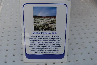 Vista Farms, 2015: Welcome to Vista Farms Spring Trials 2015, featuring an overview of the farm which offers exotic and standard bougainvillea liners for the grower.
