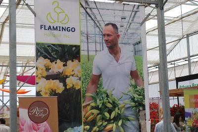 As Seen @ Flamingo Holland Spring Trials, 2014: Welcome to Flamingo Holland's Spring Trials @ GroLink, Oxnard, CA 2014.
